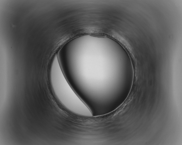 X0000088430105200705220902