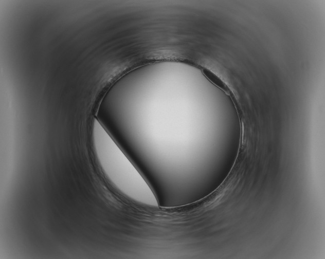 X0000088430109200705220902