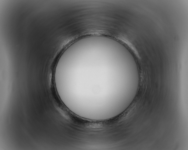 X0000088430110200705220902
