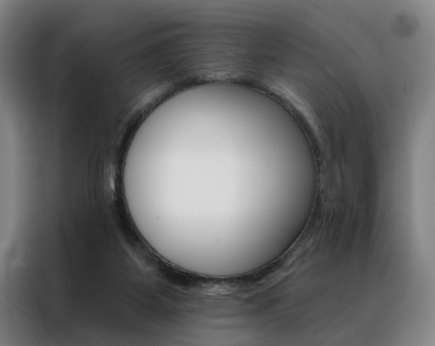 X0000088430115200705220902