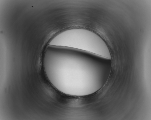 X0000088430116200705220902