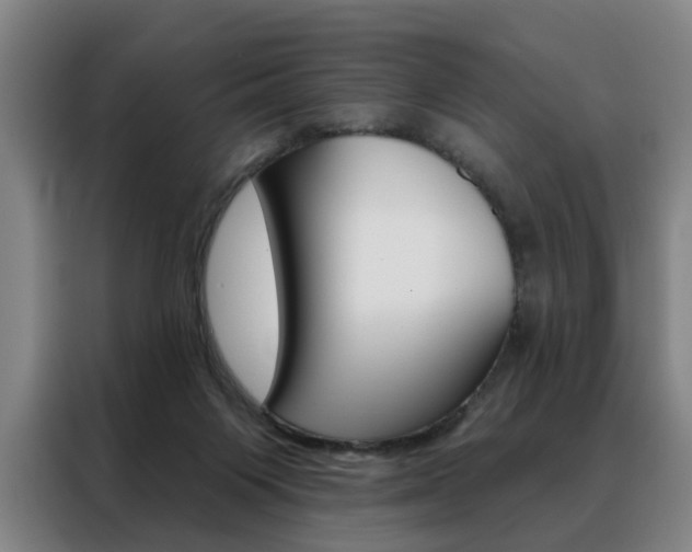 X0000088430119200705220902