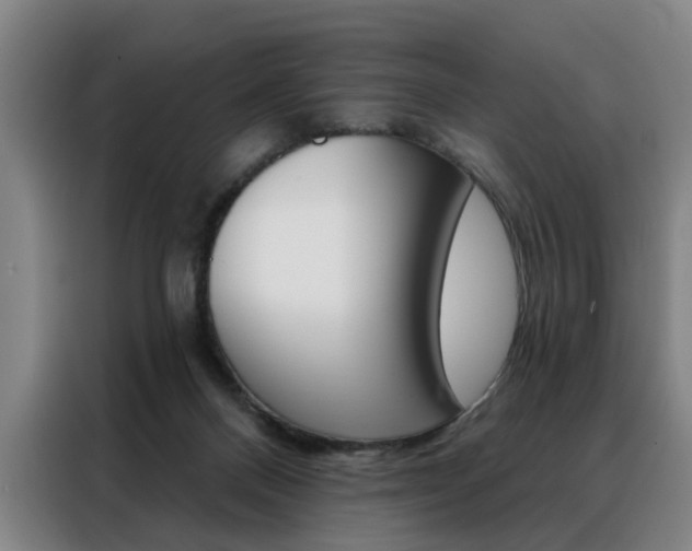 X0000088430120200705220902