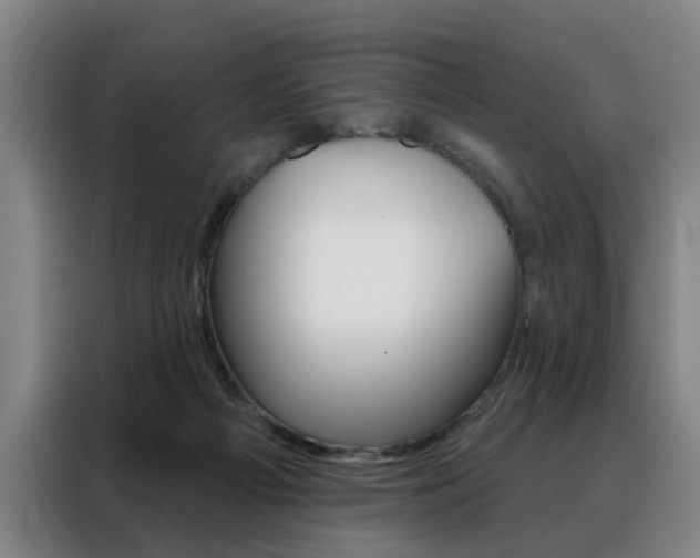 X0000088430121200705220902