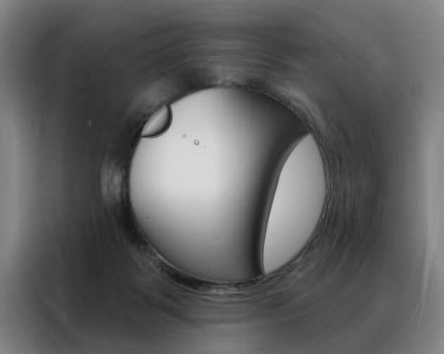 X0000088430123200705220902