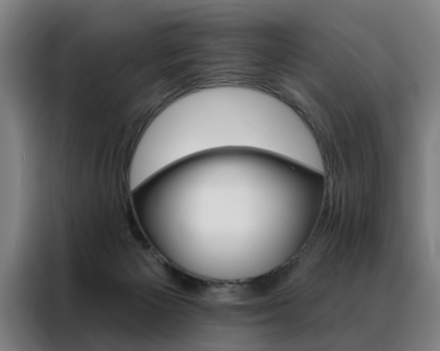 X0000088430125200705220902
