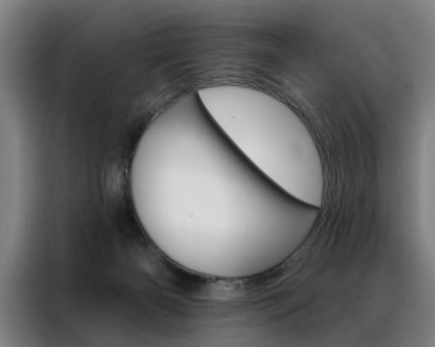 X0000088430126200705220902