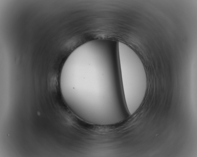 X0000088430127200705220902