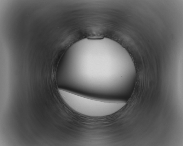 X0000088430129200705220902