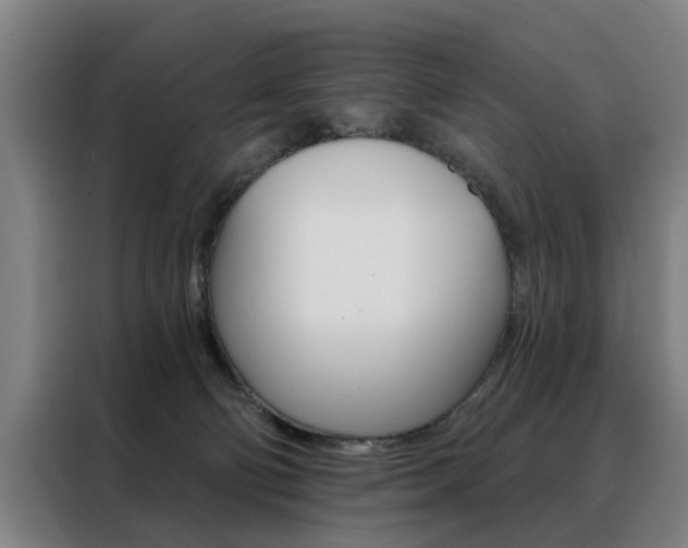 X0000088430130200705220902