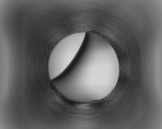 X0000088430132200705220902