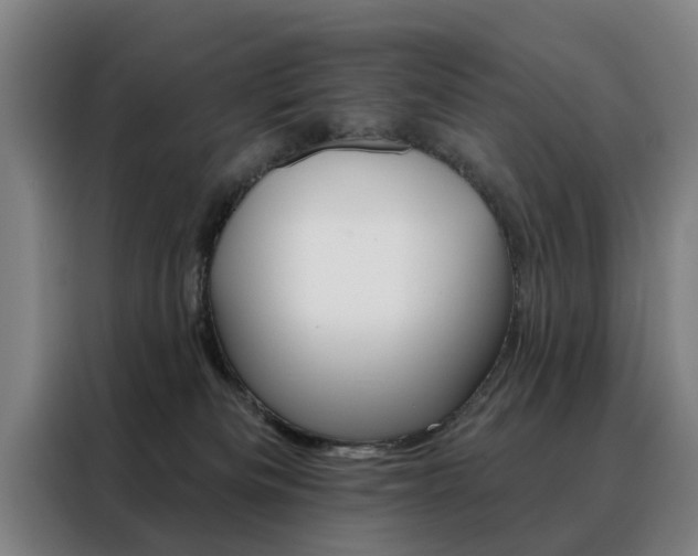 X0000088430133200705220902
