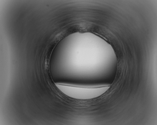 X0000088430137200705220902