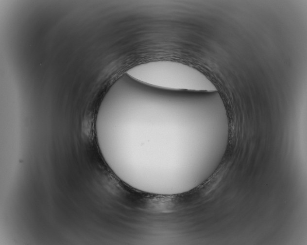 X0000088430138200705220902