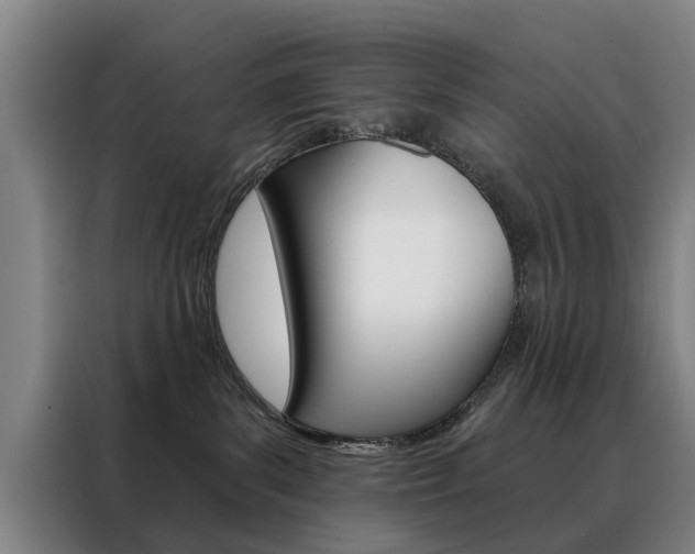 X0000088430139200705220902