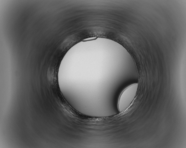 X0000088430140200705220902