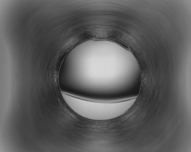 X0000088430141200705220902