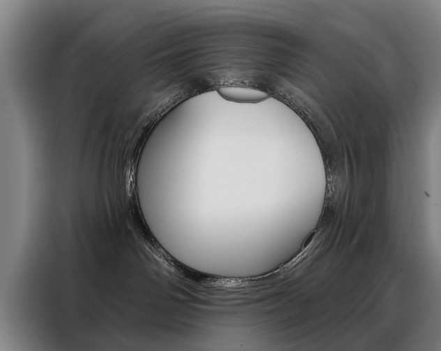 X0000088430142200705220902