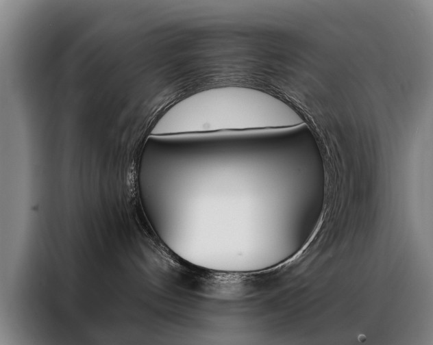 X0000088430144200705220902