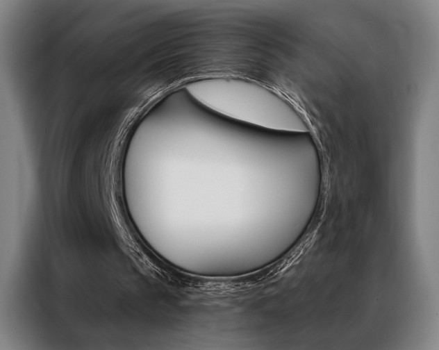 X0000088430145200705220901
