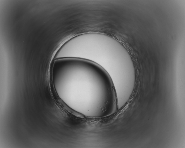 X0000088430148200705220901