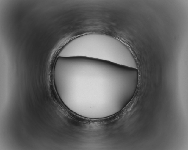 X0000088430149200705220901