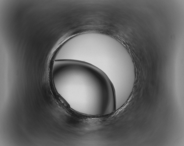 X0000088430150200705220901
