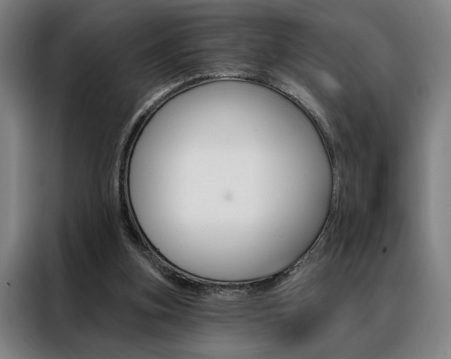 X0000088430155200705220901