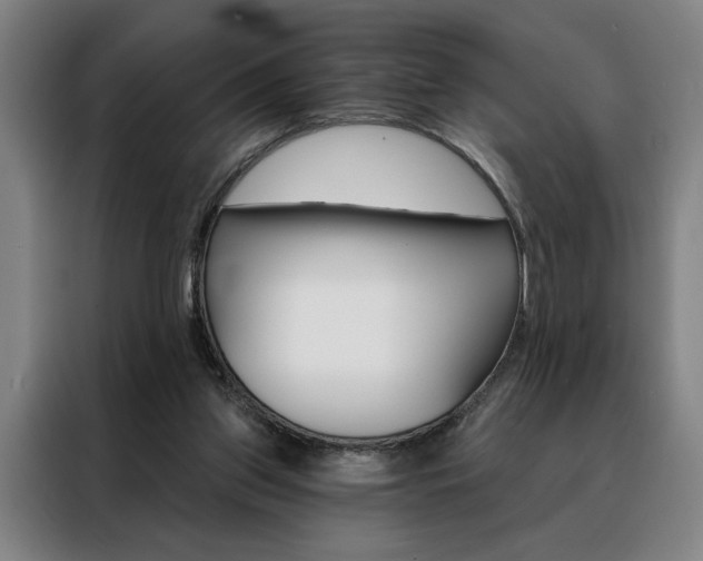 X0000088430157200705220901