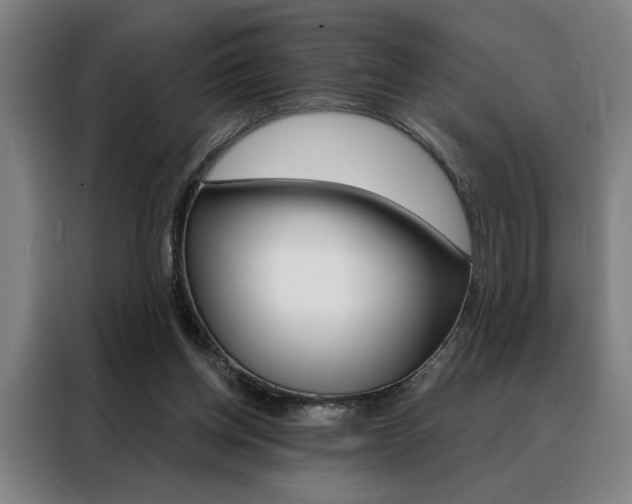 X0000088430158200705220901