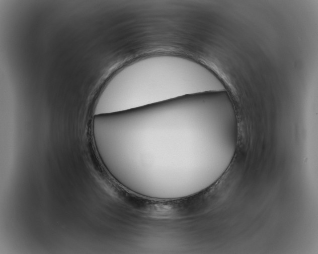 X0000088430159200705220901