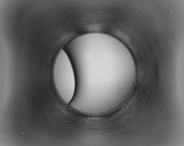 X0000088430161200705220901