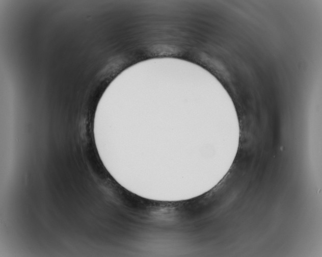 X0000088430162200705220901