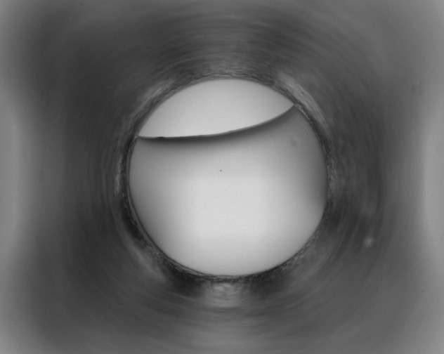 X0000088430163200705220901