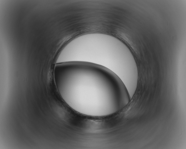 X0000088430164200705220901