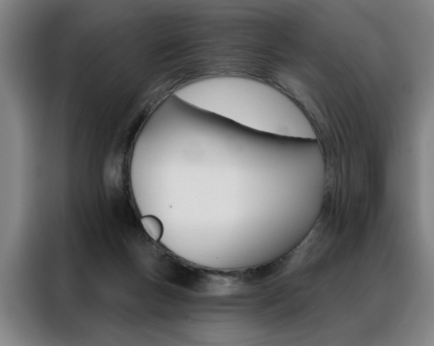 X0000088430167200705220901