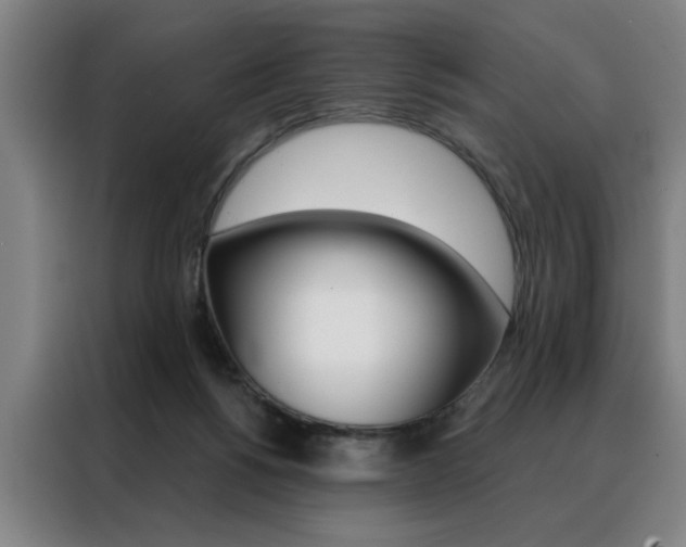 X0000088430168200705220901