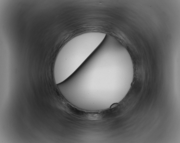 X0000088430169200705220901