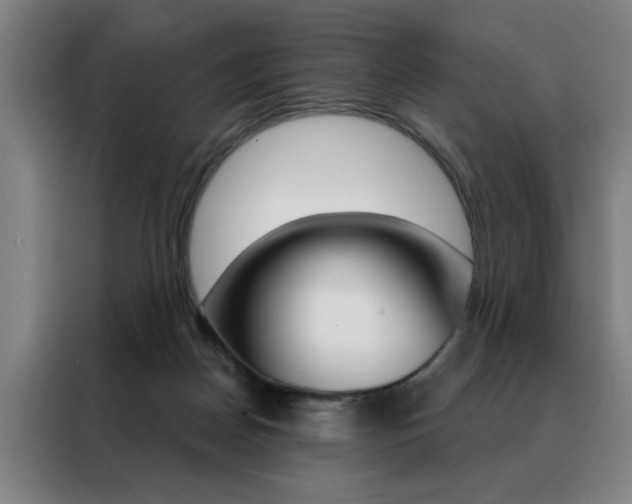 X0000088430170200705220901