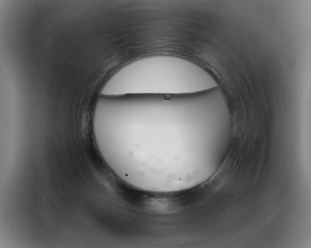 X0000088430171200705220901