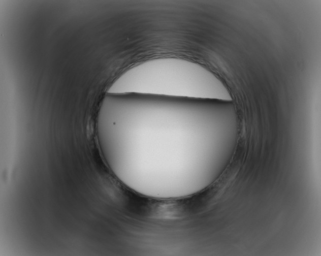 X0000088430173200705220901