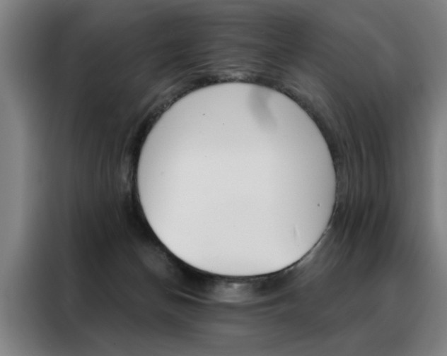 X0000088430174200705220901