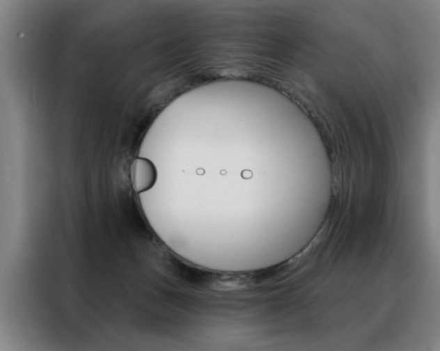 X0000088430175200705220901