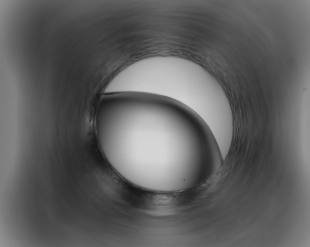 X0000088430176200705220901