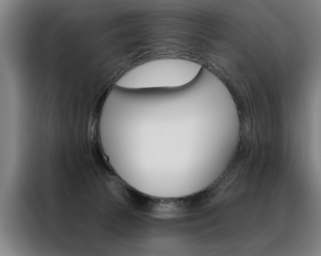 X0000088430177200705220901