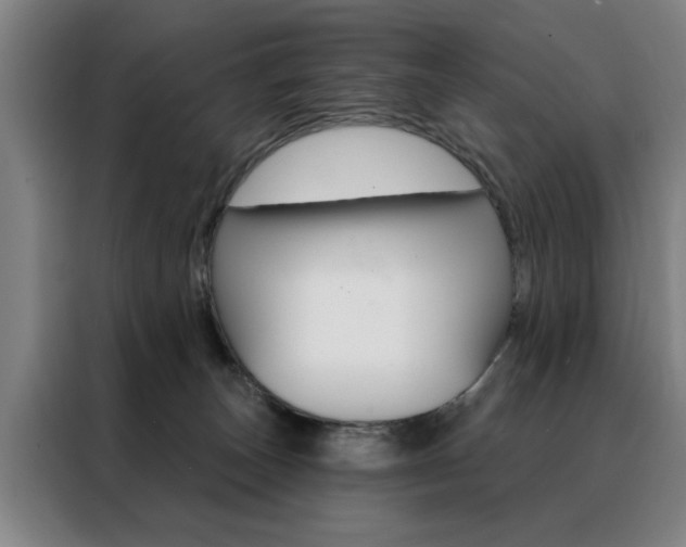 X0000088430179200705220901