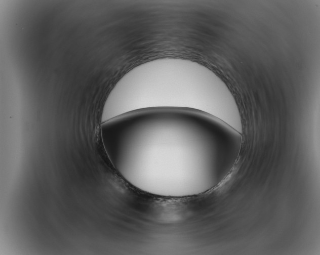 X0000088430186200705220902