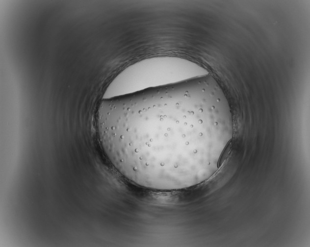 X0000088430187200705220902