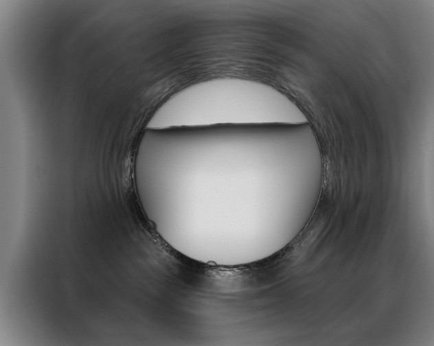 X0000088430189200705220902