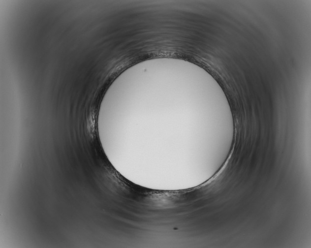 X0000088430190200705220902